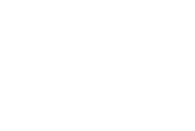 ParaClean